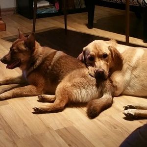 Meet your Posher, Colette